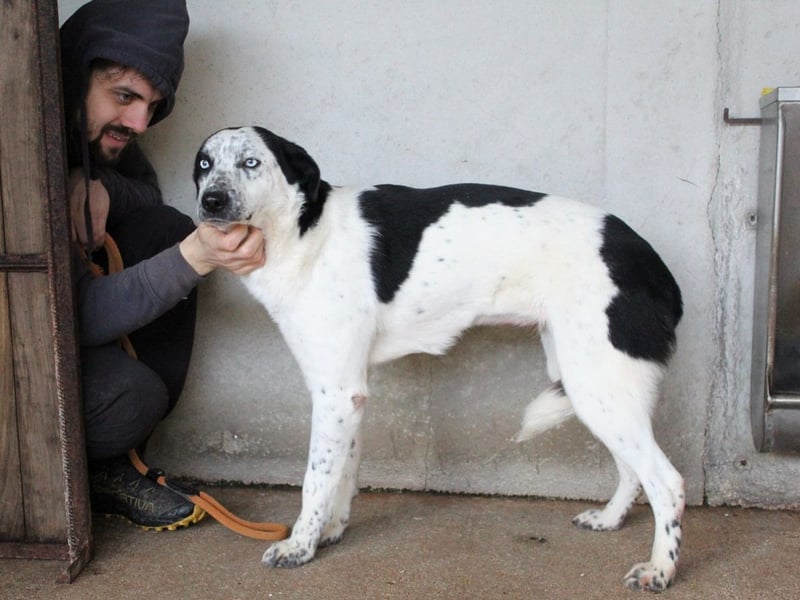 Nyxiel - Die schönsten Augen
