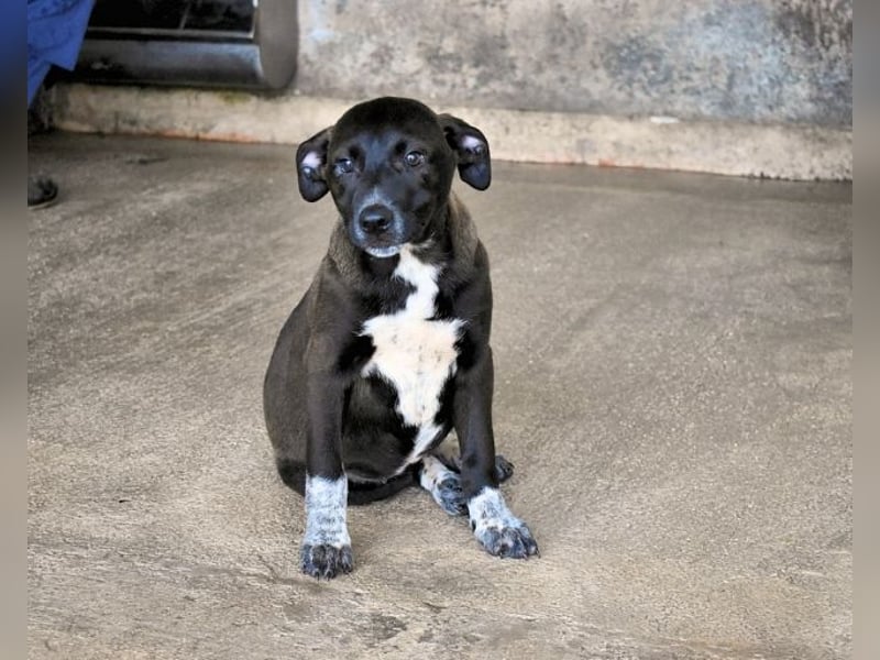 Marisca - Es soll DEIN Leben werden