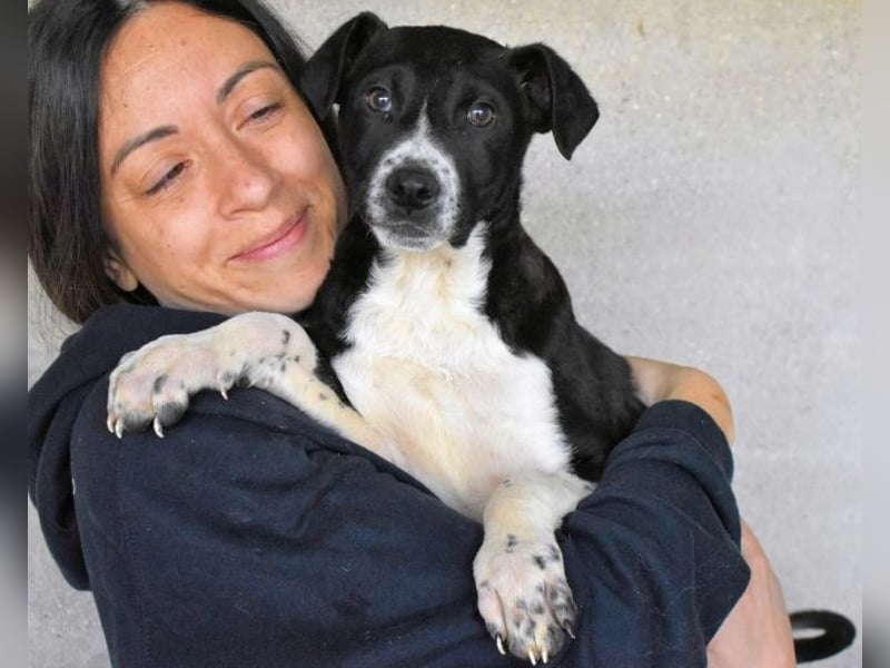 Mavette - Es soll DEIN Leben werden