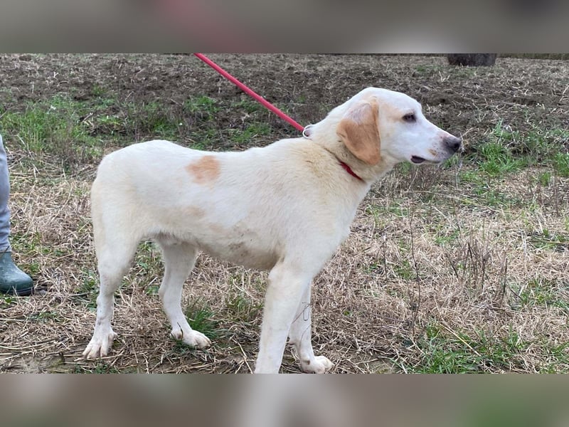 Deddy -  Mit neugierigen Pfoten ins Leben