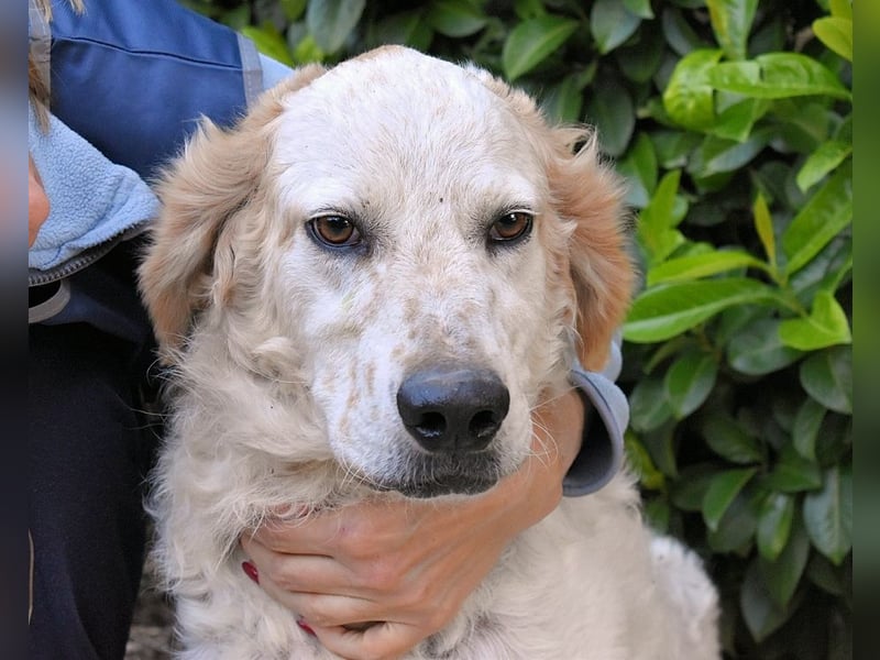 Kastore - Die Welt erkunden!