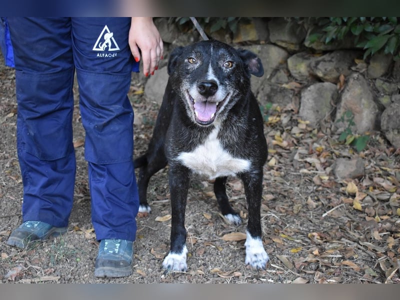 Elowen - eine Tänzerin im Mondlicht, bis die Sonne die Träume verjagt