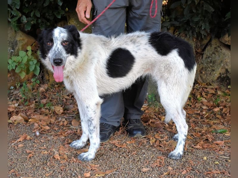 Jasmine - Wer nicht neugierig ist, erfährt nichts!