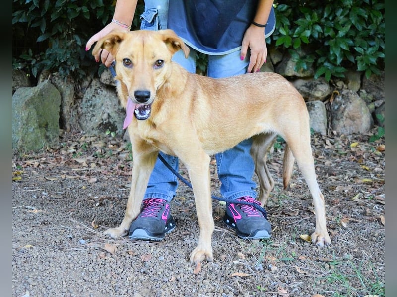 Lilyrose - als kleine Muschel ins Glück!