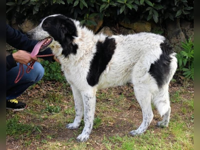 Jessie - Wer nicht neugierig ist, erfährt nichts