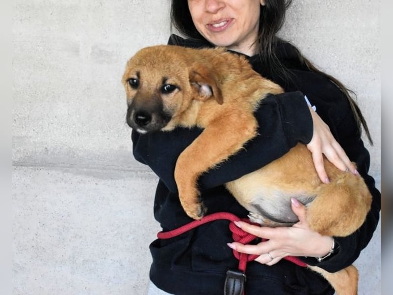 Mivelle - Es soll DEIN Leben werden