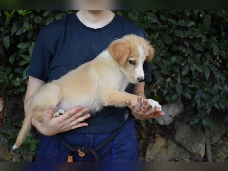 Marula - ...und Mama konnte es dir nicht zeigen