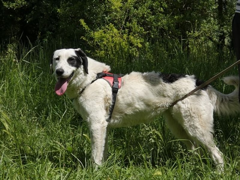 Marni - Dieses Herz hat schon zu lange gewartet