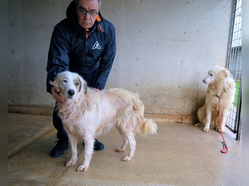 Bailoch - Zeig mir doch bitte...