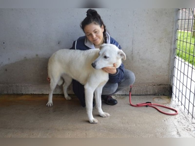 Dafnielle - Zukunft gesucht