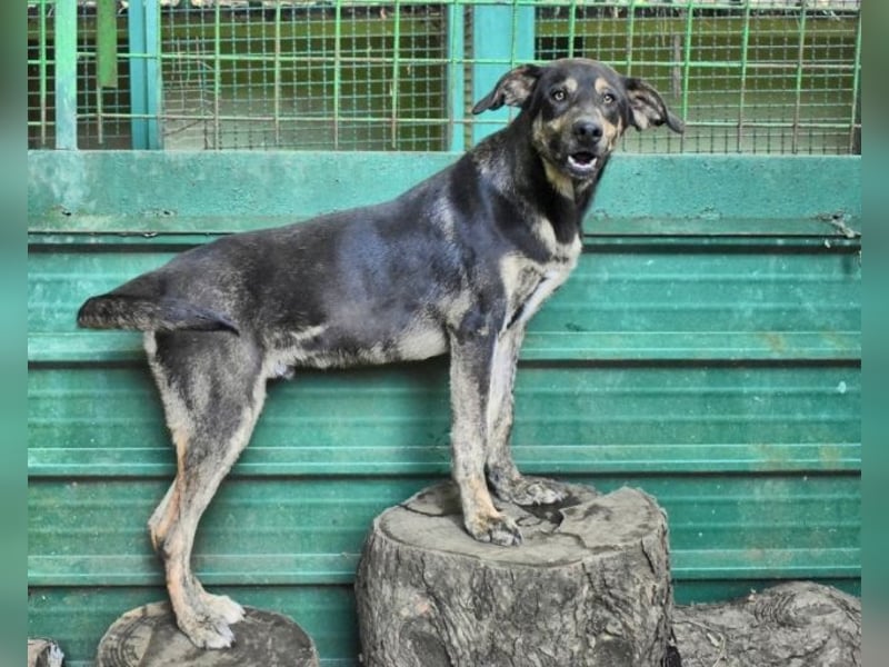 Montego - Sonne im Bauch und Brausekribbeln im Hirn