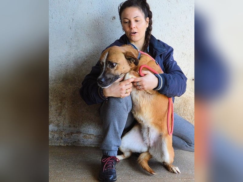 Sunitha - Drei Leben. Drei Chancen.