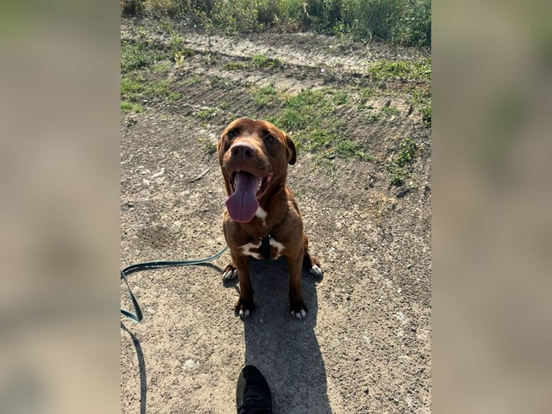 Birdy - Ich glaube, es wird Frühling