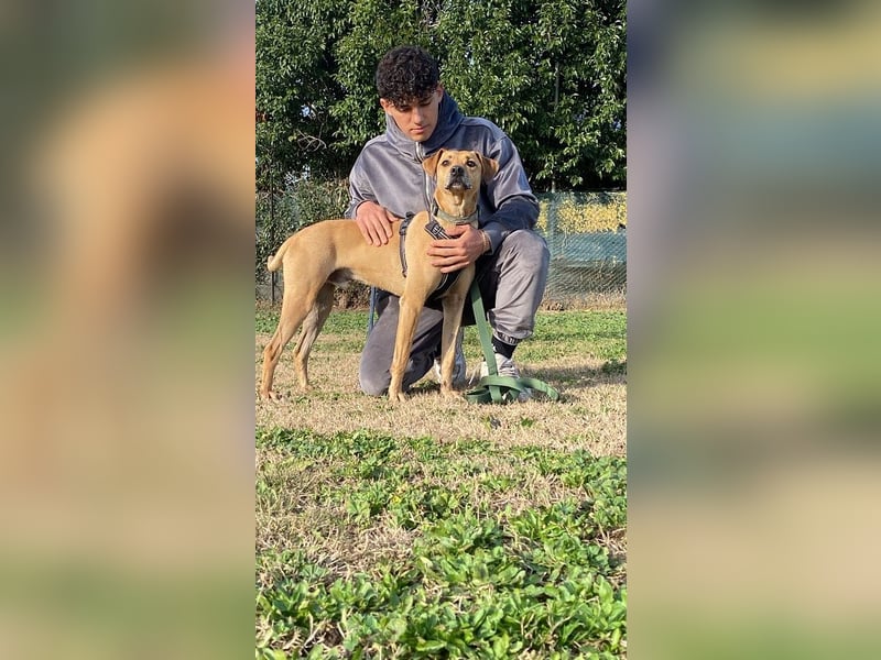 Jasper - Warten auf den einen Menschen