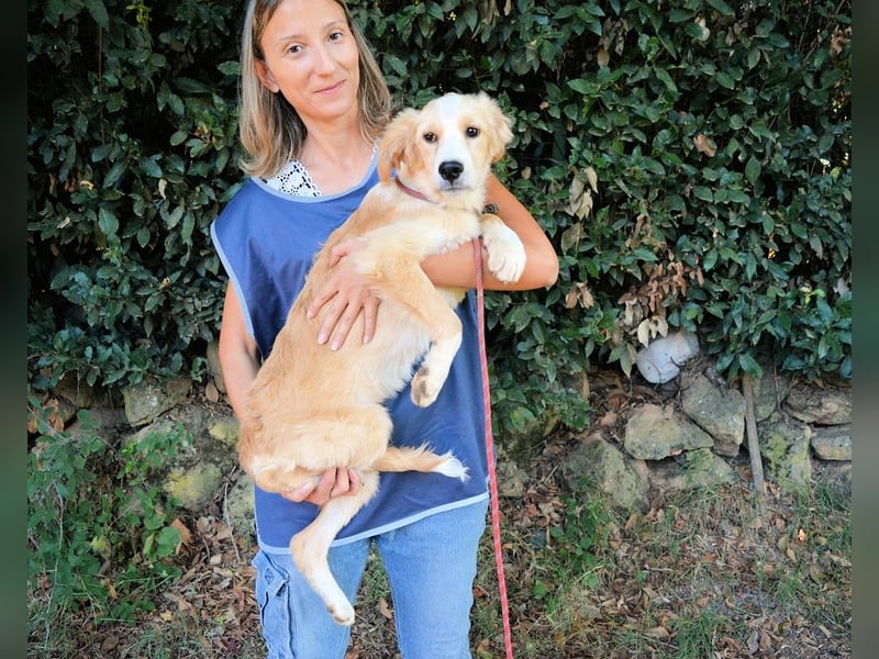 Marula - ...und Mama konnte es dir nicht zeigen