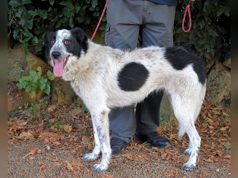 Jasmine - Wer nicht neugierig ist, erfährt nichts!