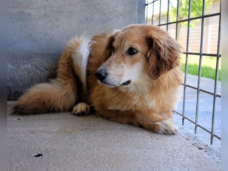 Jonathen - Die Flucht in mir