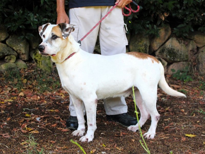 Argo - hungrig auf Leben und Er-Lebnisse