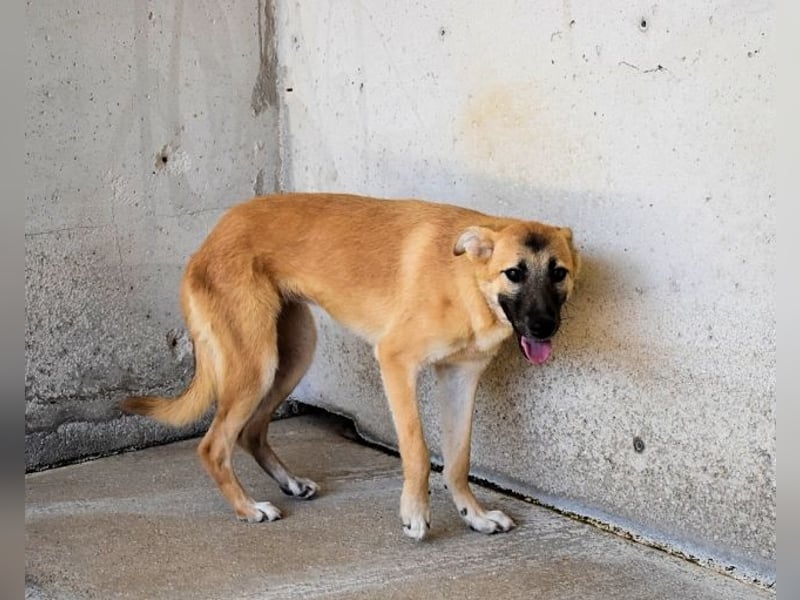 Olympia - "Und wenn sie nicht weg sind....