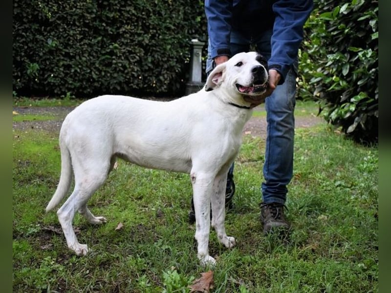 Olindina - Wie gut du bist, das zeigt sich an schlechten Tagen