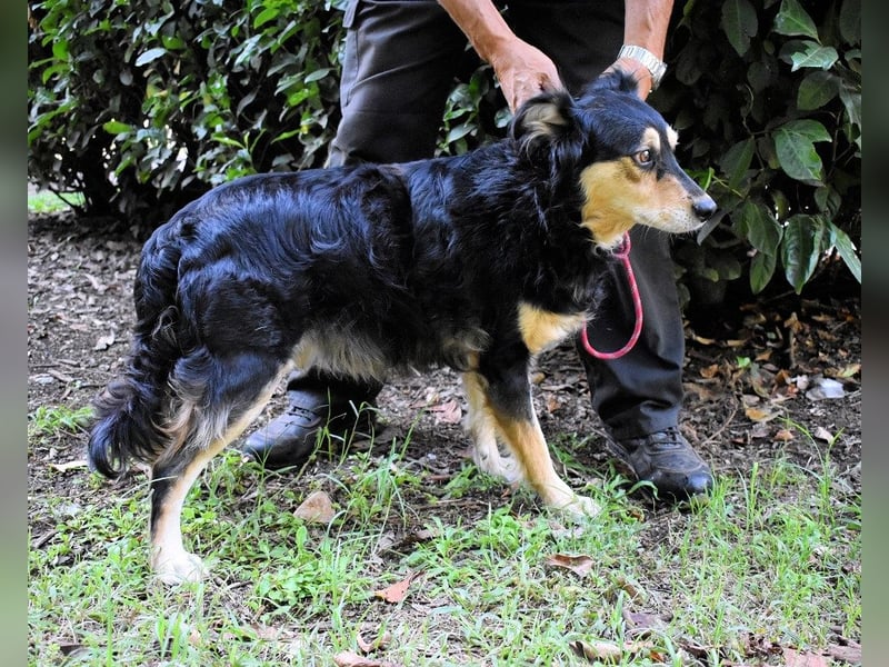 Daxter - Vollbremsung ins Leere