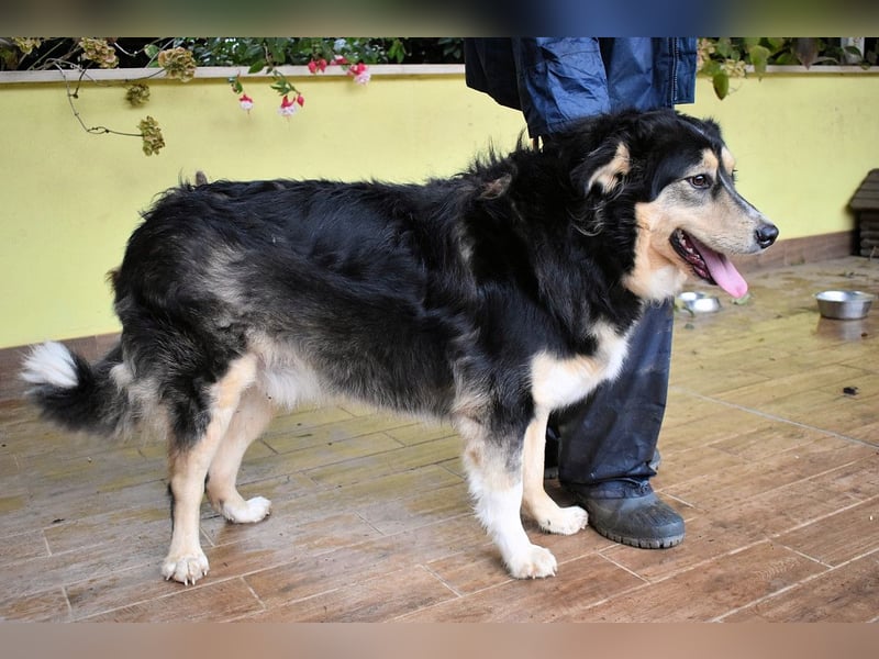 Oliverio - ohne Anklage hinter Gittern