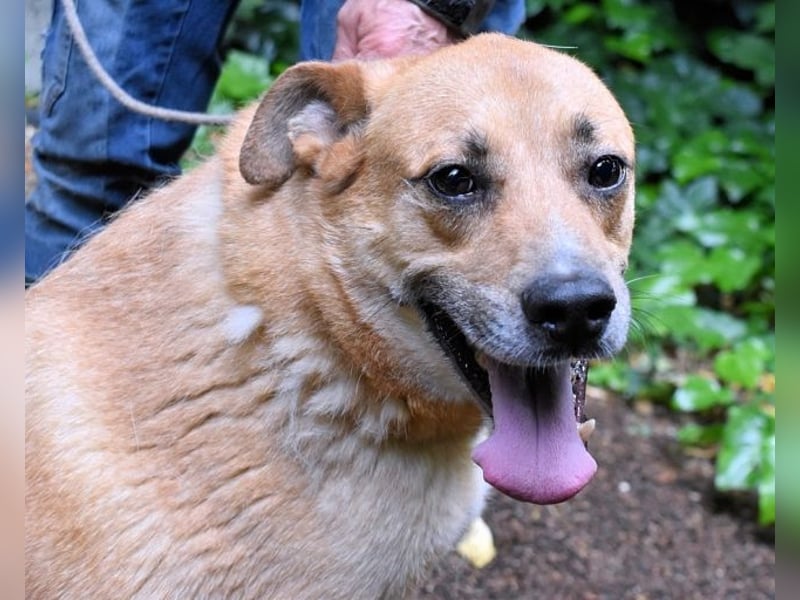 Cesny - Noch ist es nicht zu spät, aber es wird höchste Zeit!