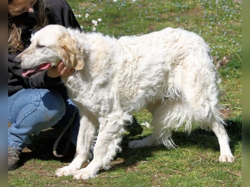 Kastore - Die Welt erkunden!