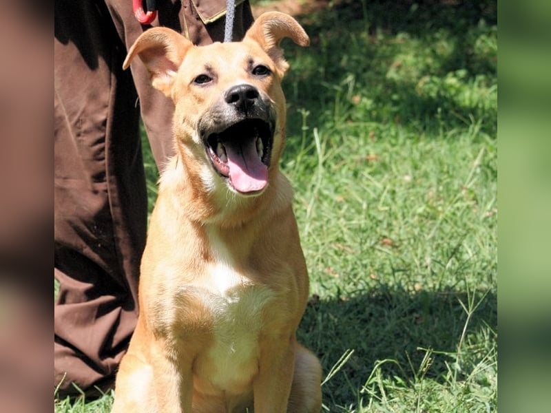 Cesny - Noch ist es nicht zu spät, aber es wird höchste Zeit!