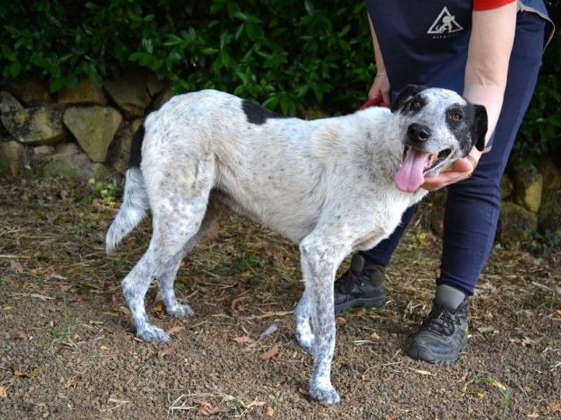Medwin - Wo ist denn nun das wahre Leben?