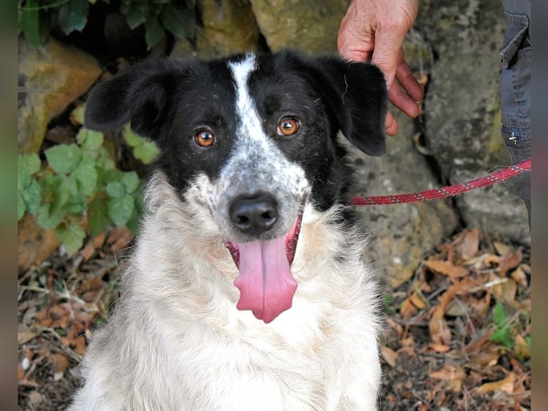 Jessie - Wer nicht neugierig ist, erfährt nichts