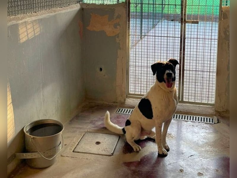 Phönix - Wege aus der Vergangenheit