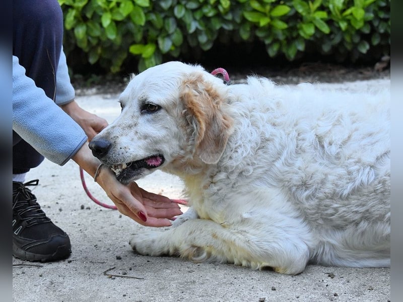 Kastore - Die Welt erkunden!