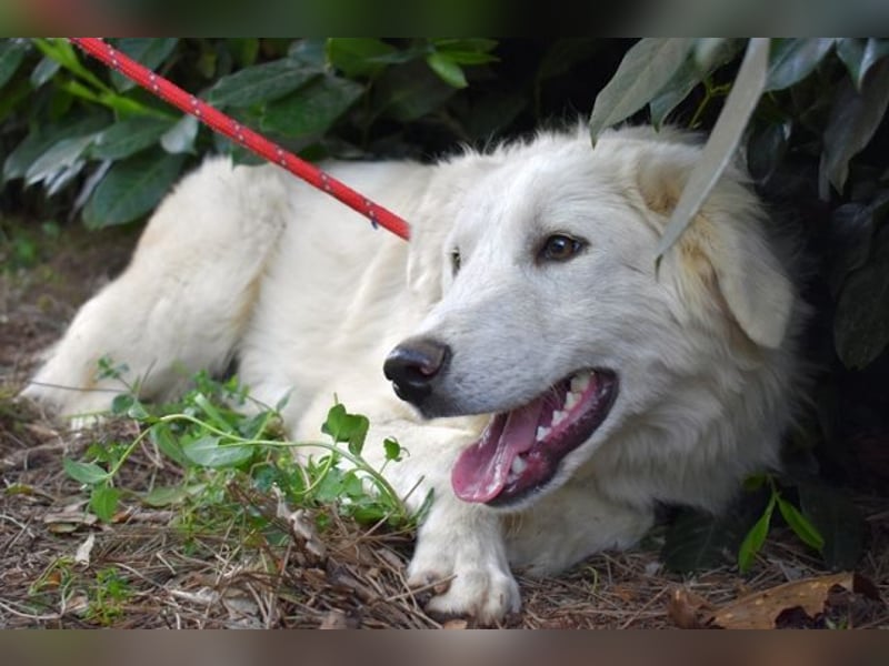 Franky - bereit für das Abenteuer Leben