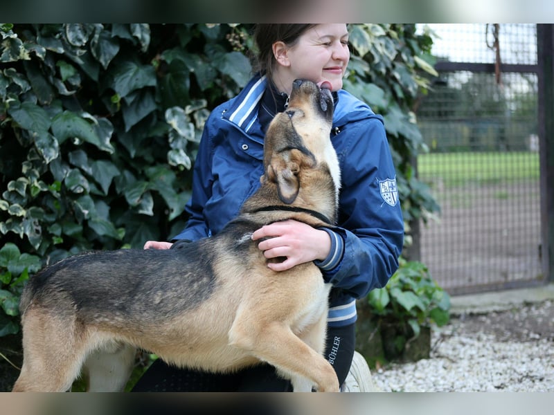 Aki - Verloren, gerettet, verlassen...