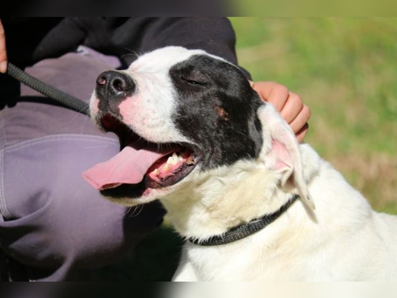 Olindina - Wie gut du bist, das zeigt sich an schlechten Tagen