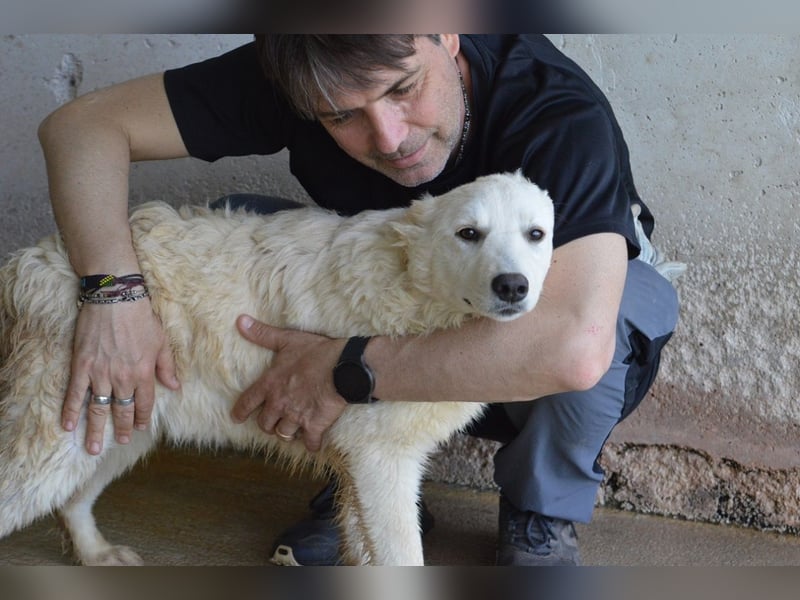 Sadye - Liebevolle Zuwendung....