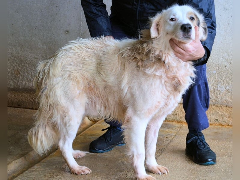 Bailoch - Zeig mir doch bitte...