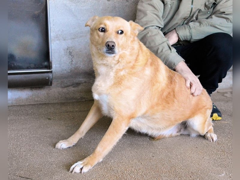 Ariana - lange sitzen sie schon da und haben es schwer