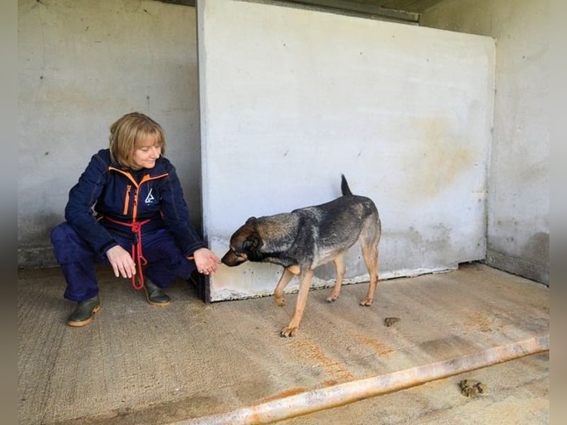 Alvis - Zurückgelassen mit nichts als Hoffnung