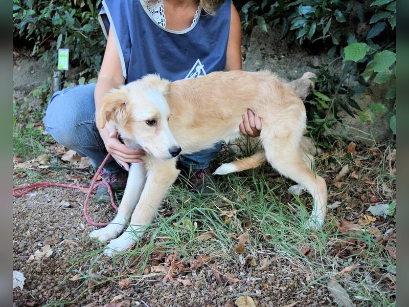 Marula - ...und Mama konnte es dir nicht zeigen