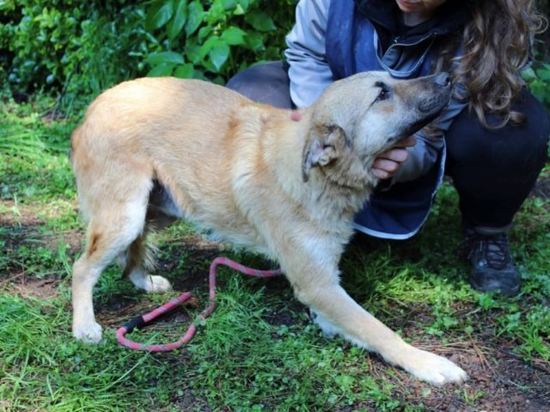 Zeebo - Z wie Zuckersüß und Zauberhaft