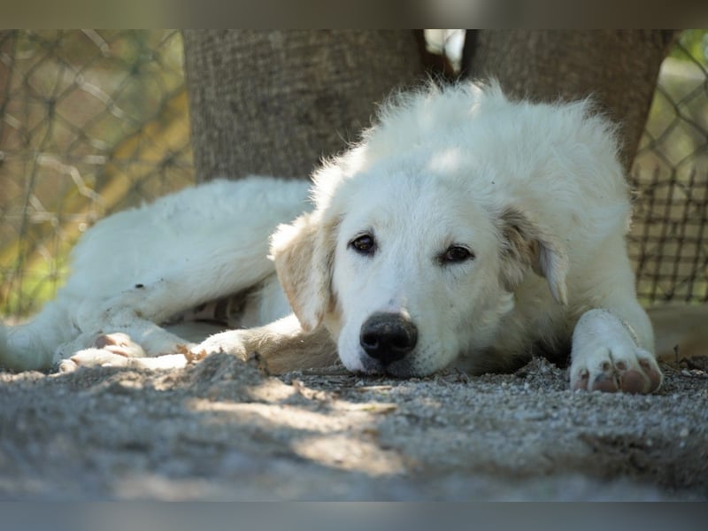 Tonia - Still, stark und voller Herz