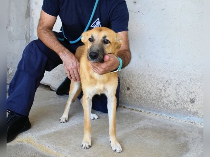 Osita - "Und wenn sie nicht weg sind.....