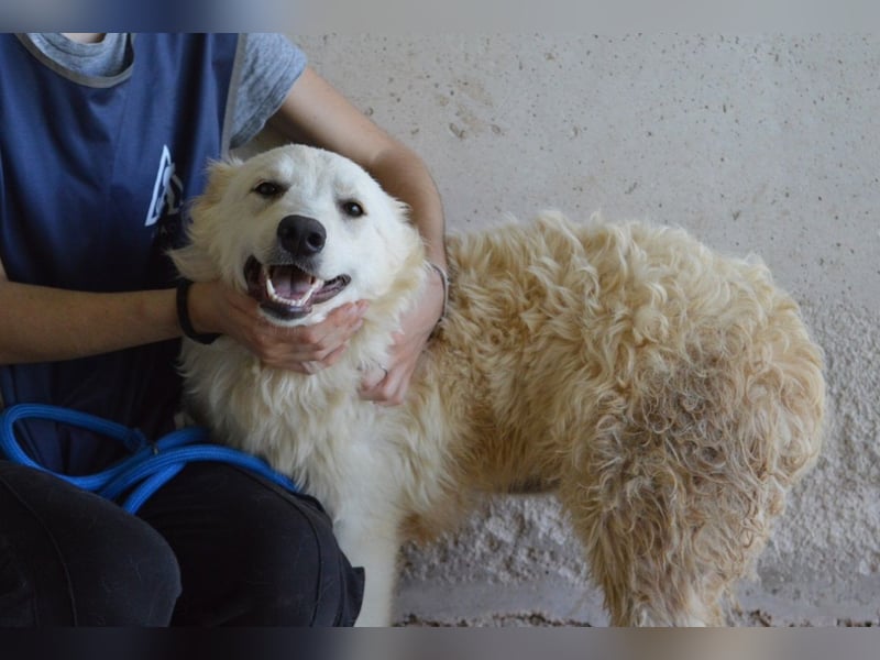 Sadye - Liebevolle Zuwendung....