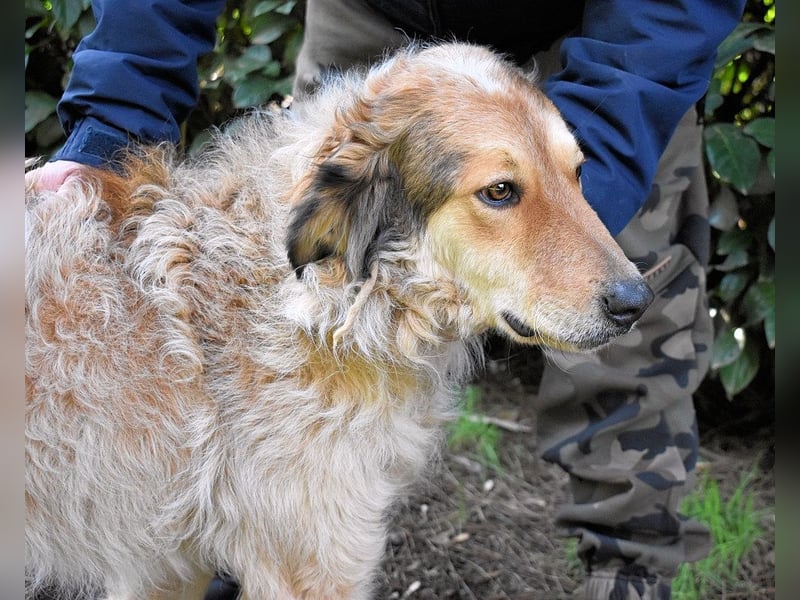 Ligorio - Zwölf, elf, zehn ... eins - Ligorio