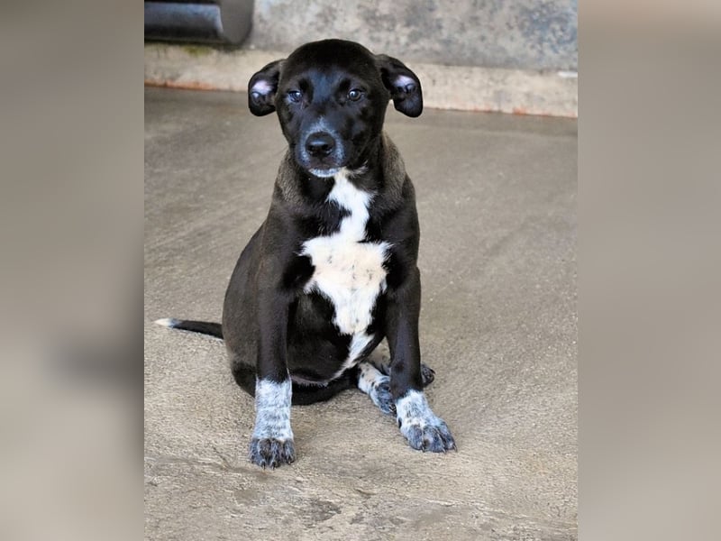 Marisca - Es soll DEIN Leben werden