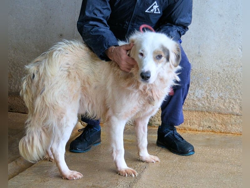 Bailoch - Zeig mir doch bitte...