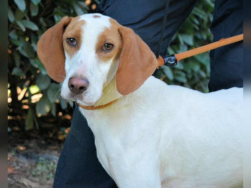 Samarie - Abenteuerlust und Kuschelzeit