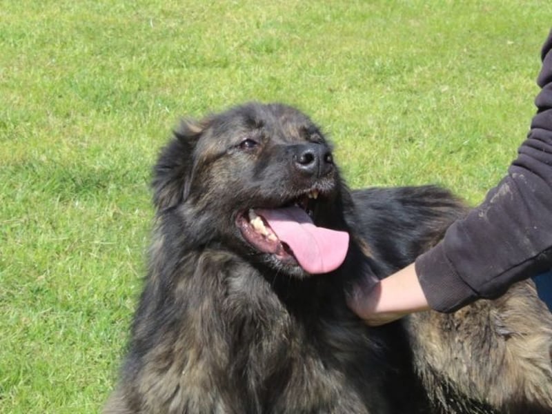 Nayra - unsere Süße